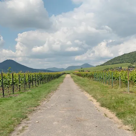 Alte Pfarrhaus - 아파트 Gleisweiler