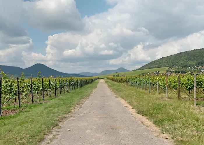 Alte Pfarrhaus - アパート Gleisweiler