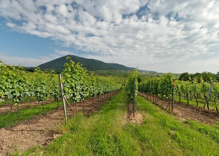 Alte Pfarrhaus - Gleisweiler